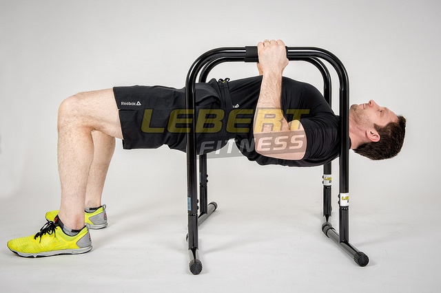 lebert equalizer - marc lebert bodyweight row exercise