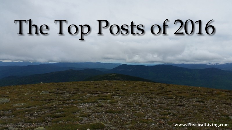 the top posts of 2016